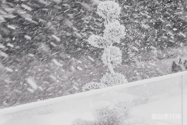 高清摄影 白雪