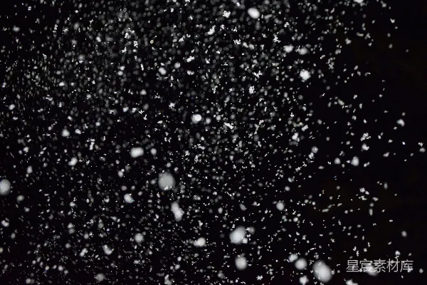 高清摄影 黑白照片中的雪花纷飞