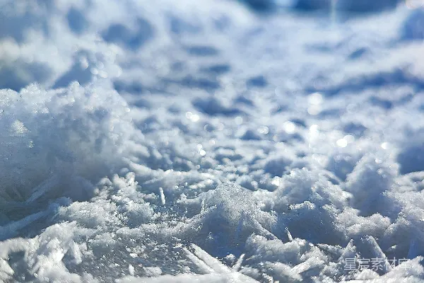 高清摄影 背景中有树木的雪覆盖地面特写