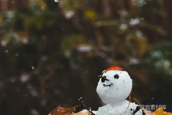 高清摄影 棕色干叶子上的雪人