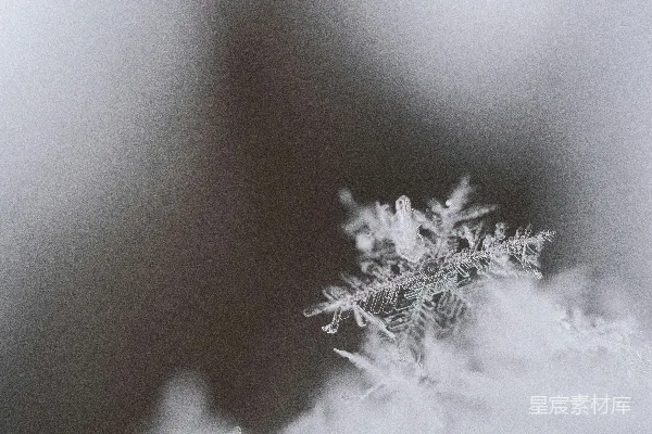 高清摄影 雪花的特写摄影