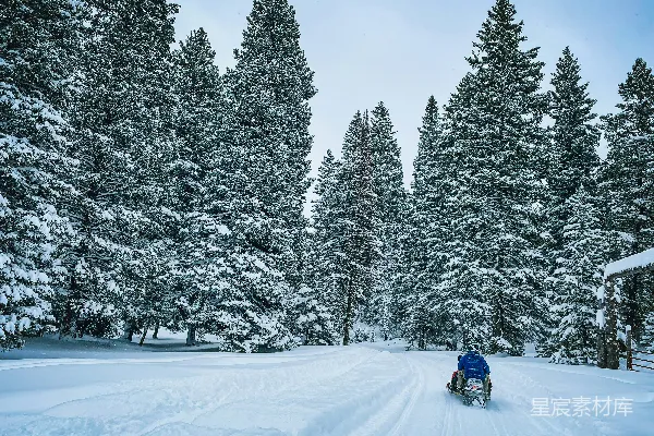 高清摄影 一个人正在雪地覆盖的小路上滑行雪橇。