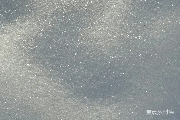 高清摄影 覆盖着白雪的田野上有一只鸟在飞翔。