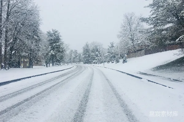 高清摄影 白天树木之间的雪覆盖的道路