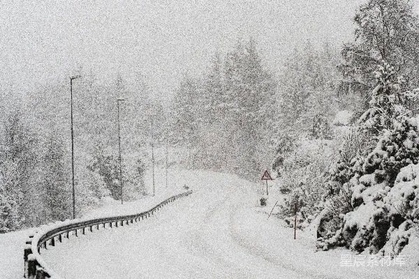 高清摄影 白天树木和道路被雪覆盖
