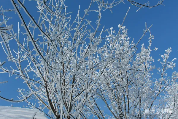 高清摄影 山顶覆盖着白雪，树木环绕，背景是蔚蓝的天空。