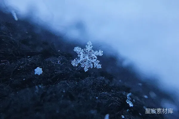 高清摄影 黑布上的白雪雪花