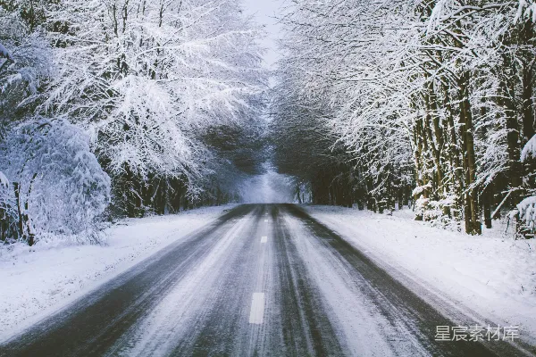 高清摄影 白天灰水泥路旁覆盖着白雪的白树附近
