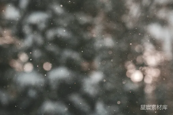高清摄影 树上传落的模糊雪花