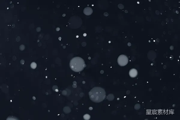 高清摄影 黑白照片中雪花飘落的场景