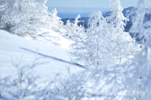 高清摄影 雪地里一个人滑雪的景象