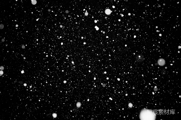 高清摄影 背景黑暗中飘落的雪花