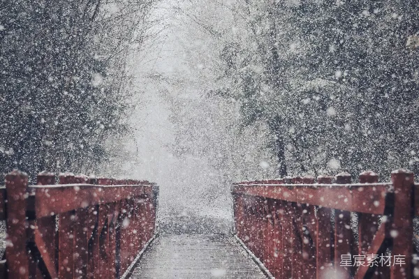 高清摄影 一座覆盖着积雪的桥