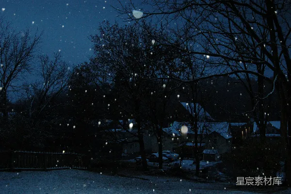 高清摄影 一个有路灯和树木的夜晚下着雪