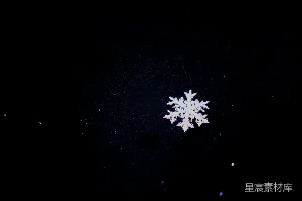 高清摄影 雪花白