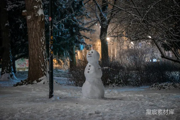 高清摄影 雪人站在街灯旁边