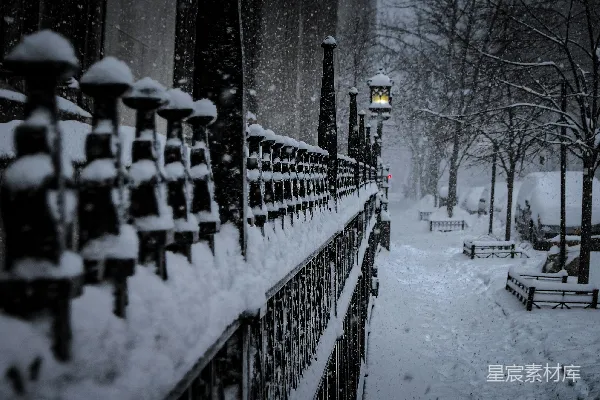 高清摄影 公园里的一夜雪景，有长凳和路灯柱