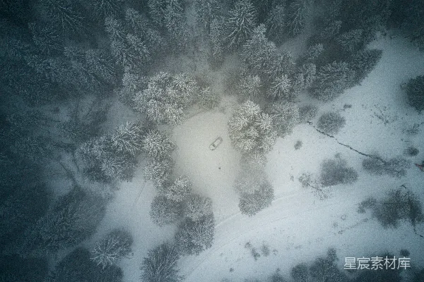 高清摄影 树丛间被雪覆盖的车辆的俯视图
