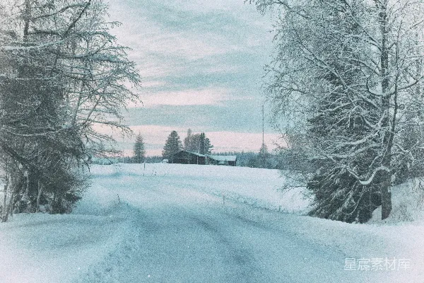 高清摄影 白天雪覆盖的道路在稀疏的树木间，在阴云密布的天空下