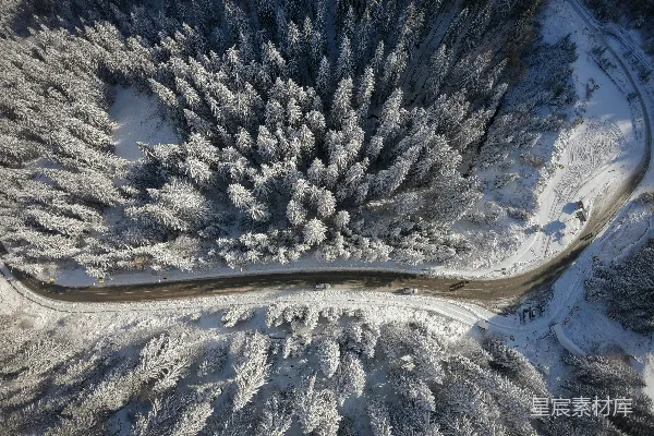 高清摄影 雪覆盖树木环绕的道路的俯视图