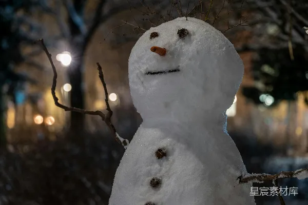 高清摄影 站在雪中的雪人