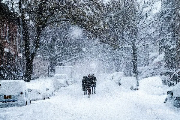 高清摄影 白天积雪覆盖的道路旁有树木