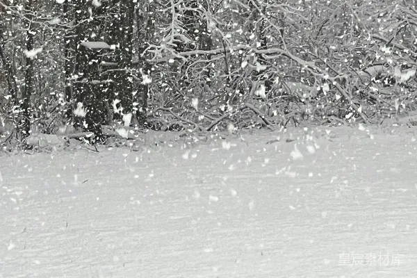 高清摄影 一个男子骑着滑板车在覆雪的山坡上下滑