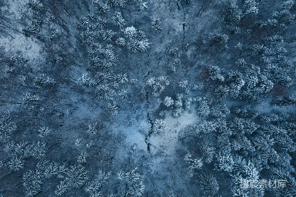 高清摄影 雪覆盖树木的鸟瞰视角