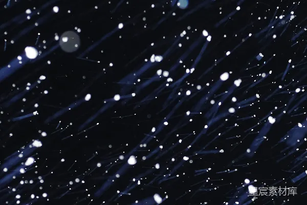 高清摄影 夜晚玻璃上的水滴