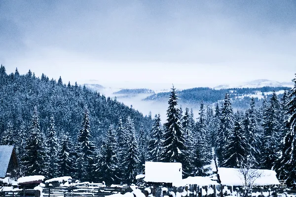 高清摄影 背景中有林子的雪山覆上了一层白雪。