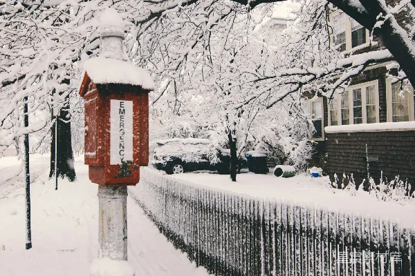 高清摄影 篱笆附近的雪
