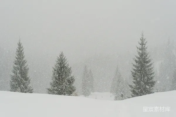 高清摄影 一个滑雪者在覆雪的山坡上滑下。
