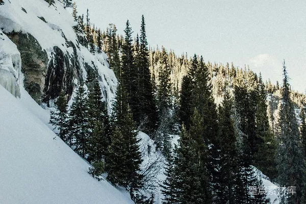 高清摄影 雪覆盖的山峦
