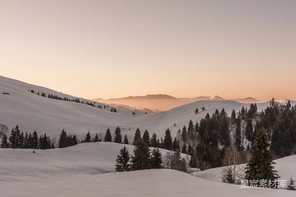 高清摄影 背景中有树木和山峦的雪景