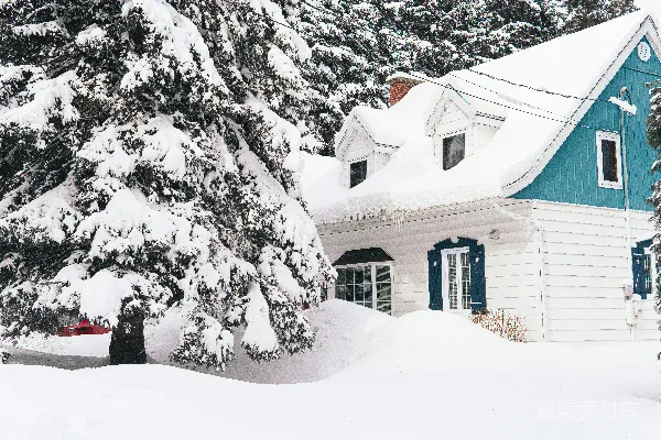 高清摄影 棕色的房子在树下白天被雪覆盖
