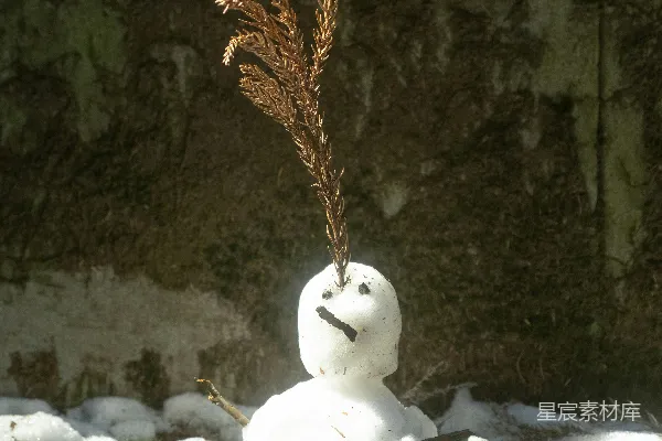 高清摄影 一个顶着树枝头发的小雪人