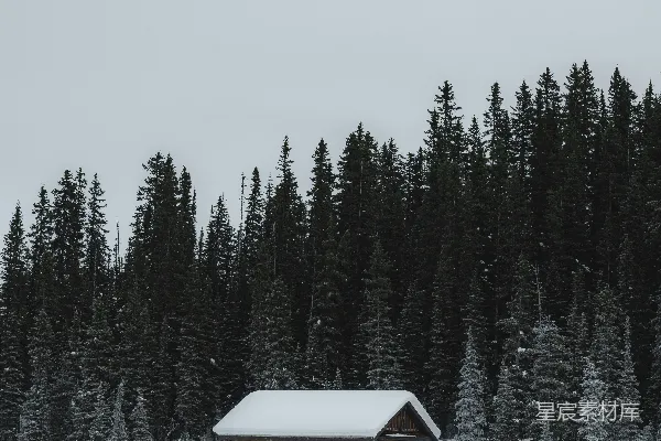 高清摄影 棕色木屋坐落在覆盖着白雪的地面上