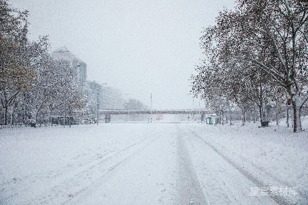 高清摄影 雪覆盖的道路旁有裸树在白天