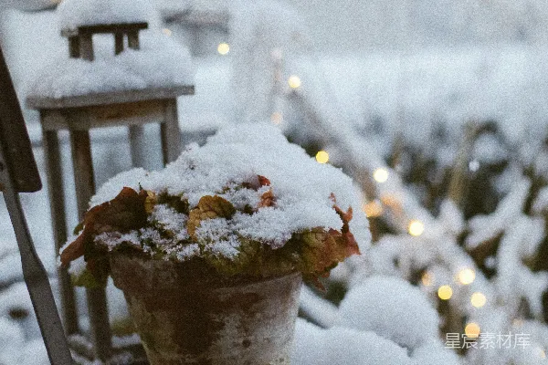 高清摄影 户外的花盆和灯笼被雪覆盖着