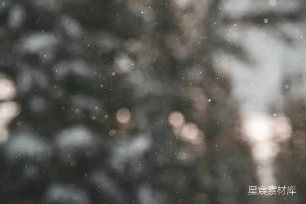 高清摄影 一片模糊的雪覆盖森林的照片