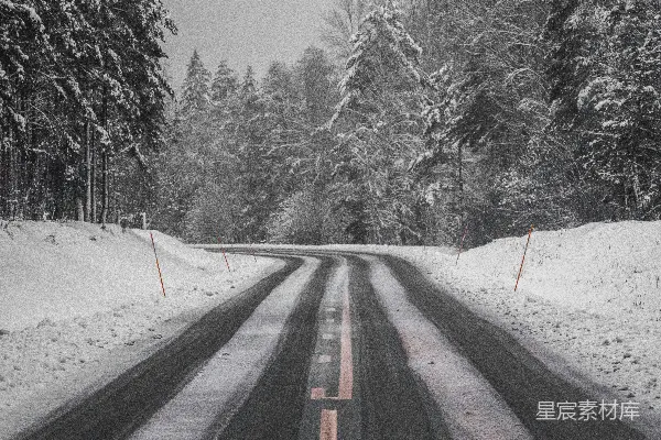 高清摄影 雪覆盖树木之间的黑色沥青道路