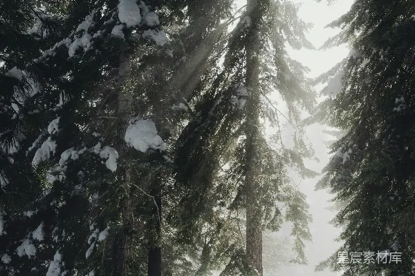 高清摄影 棕色木制长凳置于覆盖着白雪的地面上