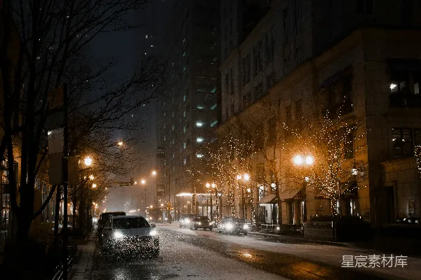 高清摄影 夜间路上的一辆黑色轿车