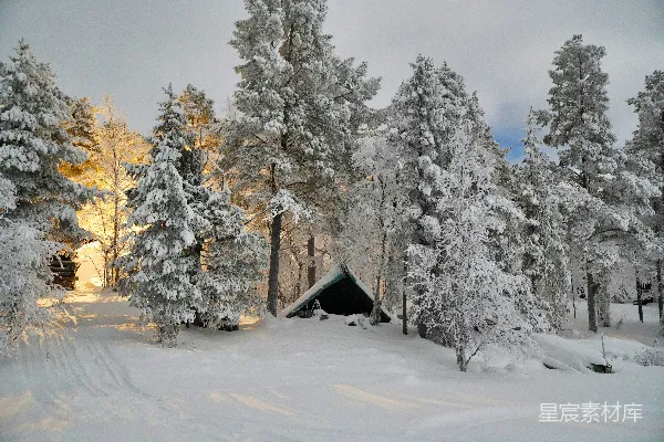 高清摄影 棕色木屋位于覆盖着白雪的树木中间