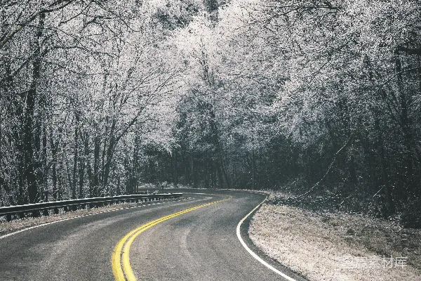 高清摄影 树间弯曲的道路空荡荡