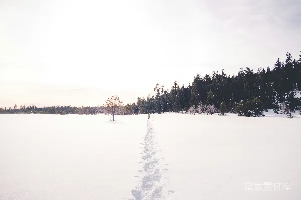 高清摄影 白天人在雪上行走
