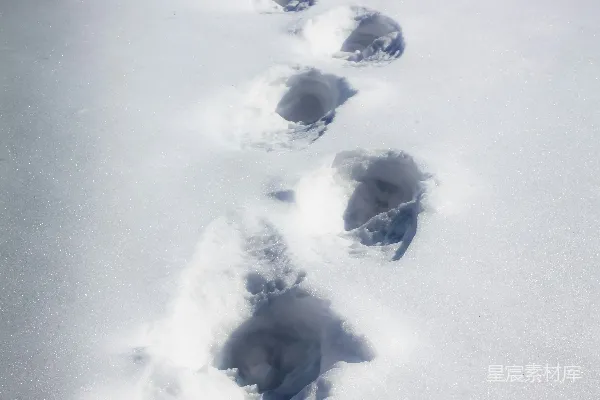 高清摄影 雪地里一条长长的脚印线