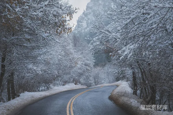 高清摄影 白天树木覆盖的雪地上的黑色沥青道路