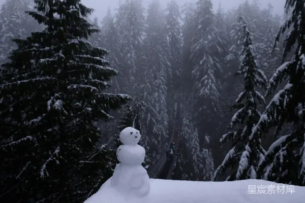 高清摄影 雪人站在覆盖着积雪的树旁的地面上，白天时。