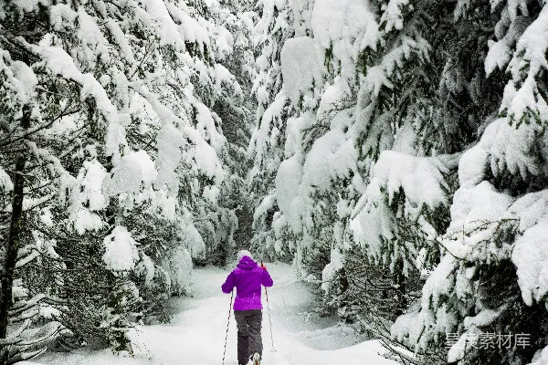 高清摄影 站在雪覆盖的土地上的人